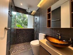 Serangoon Garden Estate (D19), Semi-Detached #625388291
